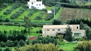 A rural landscape with a white house surrounded by green fields and trees. - Seredipa (scopello) fraz Guidaloca - Studio for 2 people (Castellammare del Golfo)