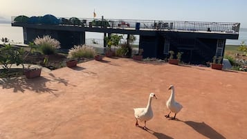 Enceinte de l’hébergement