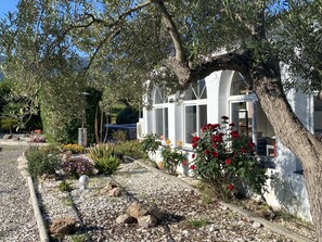 Property grounds - Charming finca with swimming pool, garden and lots of space (Alhaurin El Grande)