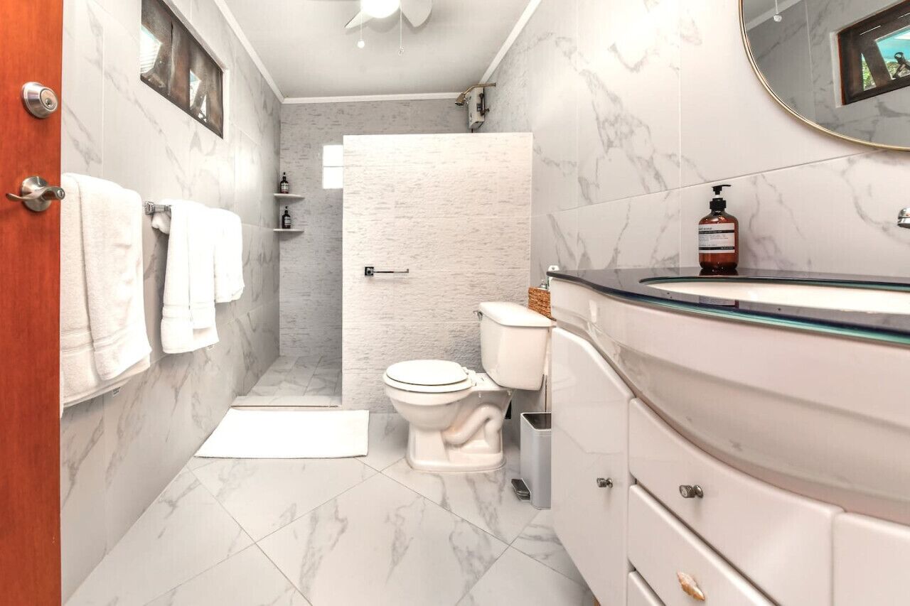 A bathroom with a toilet, a shower, and a vanity with a mirror.