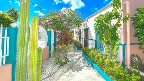 Une ruelle étroite, un cactus, un arbre aux fleurs roses et un bâtiment avec une porte bleue.