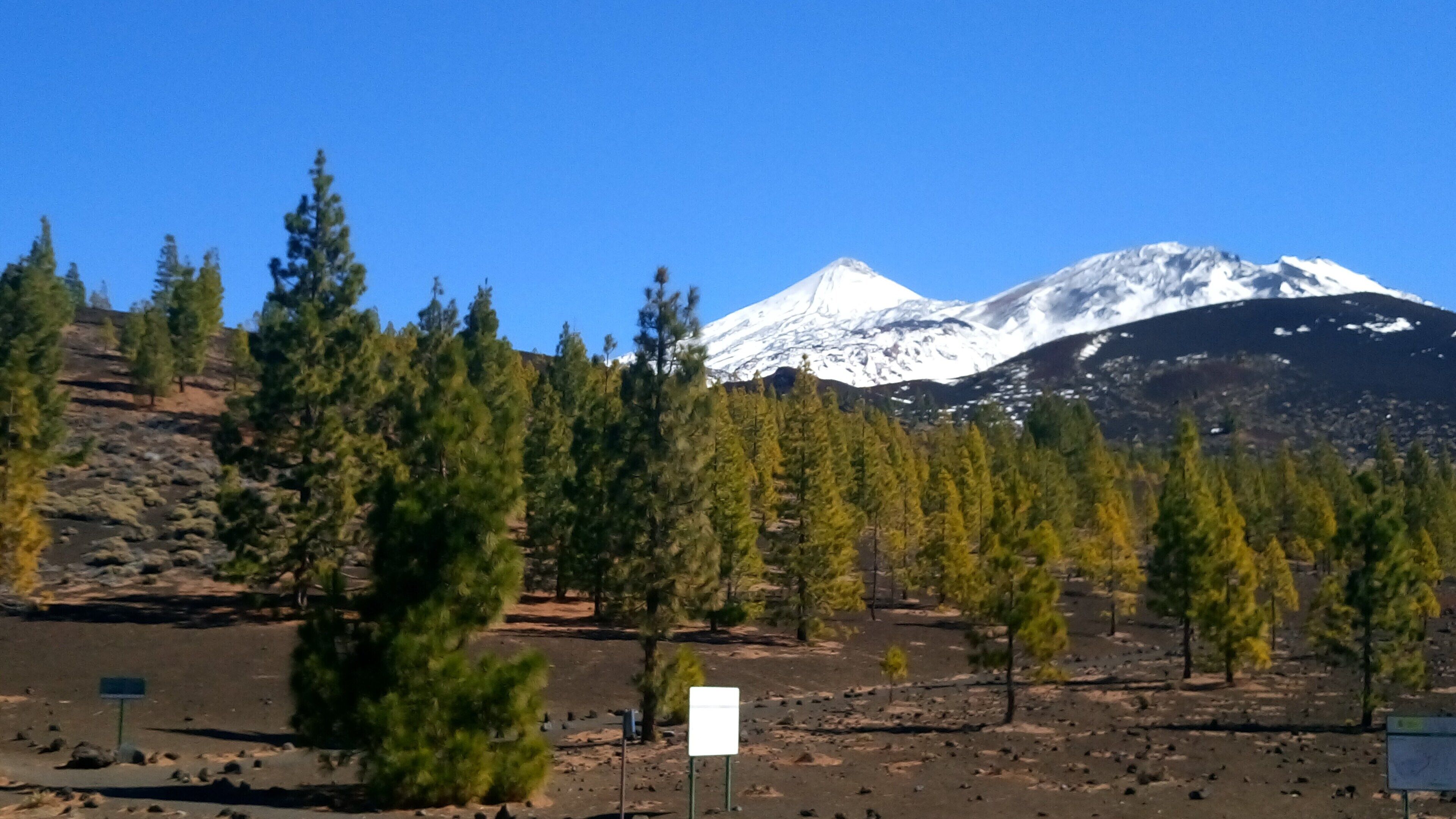 A mountainous landscape with snow-capped peaks, dense coniferous forest, and rocky terrain.