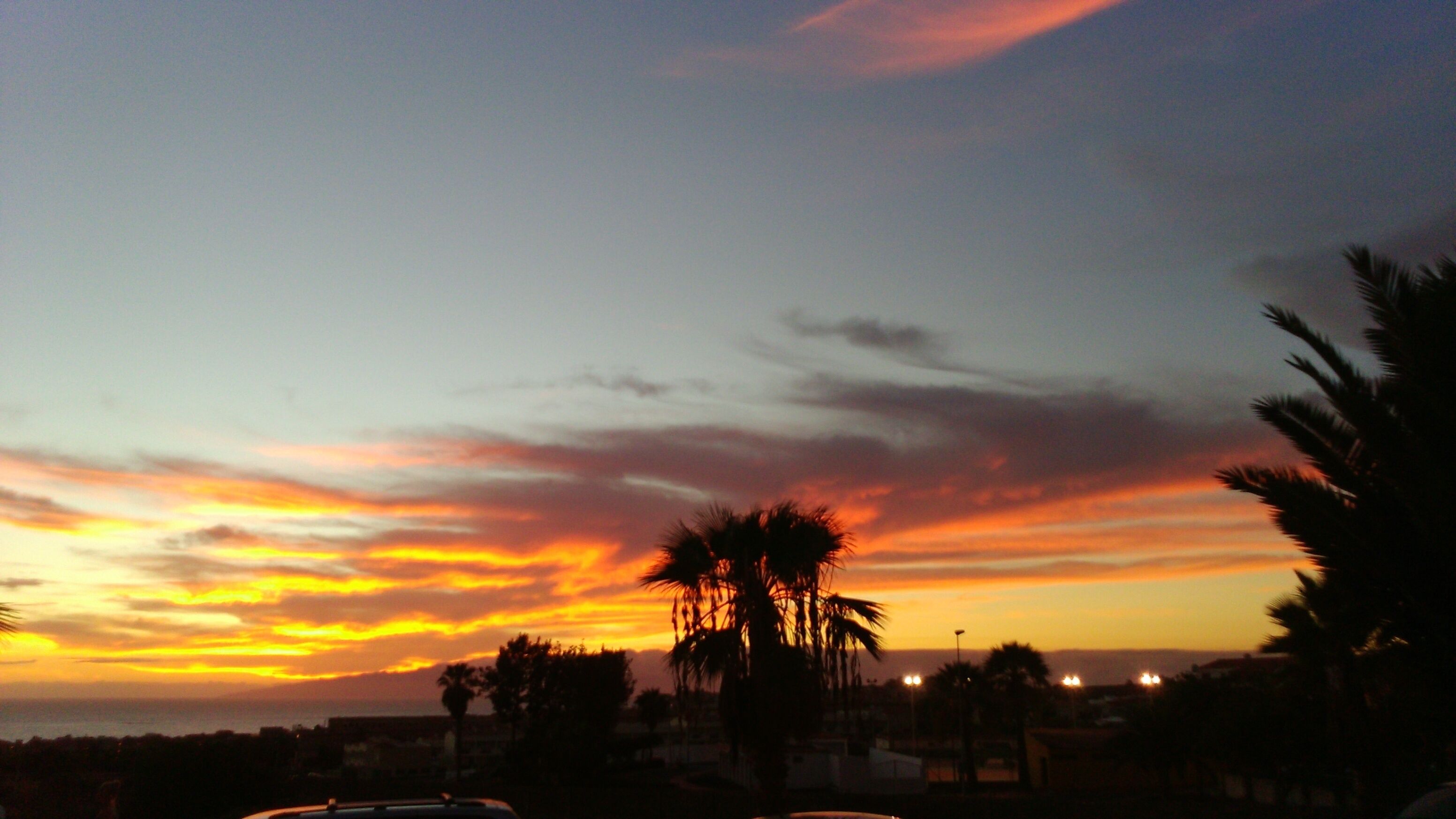 Un atardecer con cielo despejado y siluetas de palmeras.