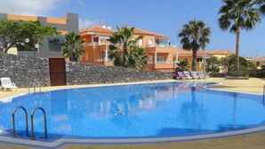 A swimming pool with clear blue water, surrounded by a stone wall and palm trees.
