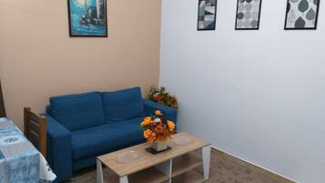 Una televisión, un reproductor de DVD, libros