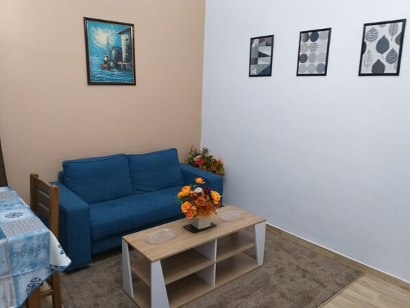 TV, DVD player, books