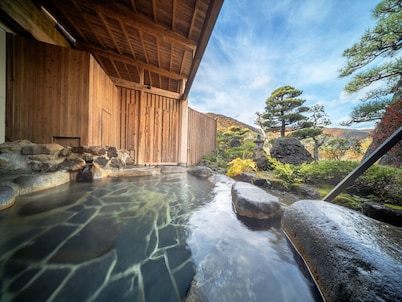 Ryokan Oyamanomegumi Todaya