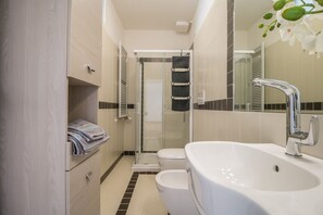 Shower, hair dryer, bidet, towels