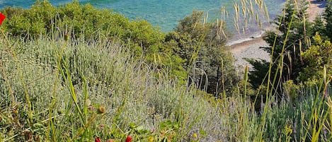 Plage, chaises longues, serviettes de plage