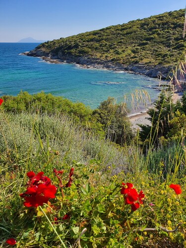 A unique private place with its own private beach!
