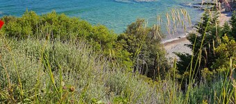 A unique private place with its own private beach!