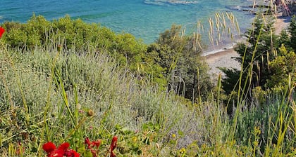 A unique private place with its own private beach!