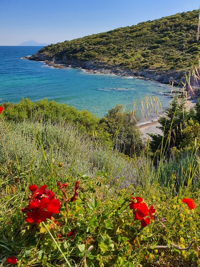 A unique private place with its own private beach!