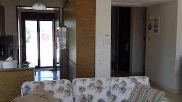 TV connectée, cheminée, lecteur de DVD, livres