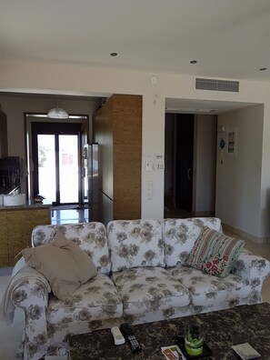 Smart TV, fireplace, DVD player, books