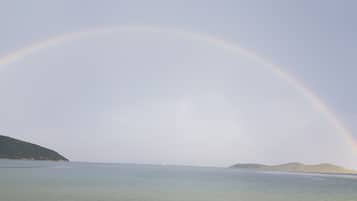 Plage, chaises longues, serviettes de plage