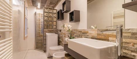 Shower, hair dryer, bidet, towels
