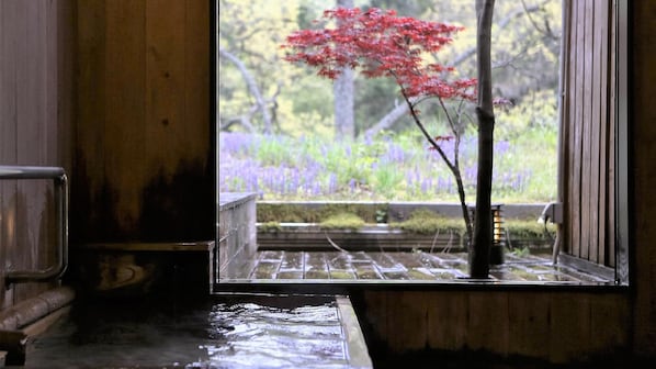A window with a view of a garden, a wooden bench, and a potted plant.