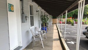 A covered outdoor seating area with white chairs and a row of windows. - Oakwood Motel (Gravenhurst)