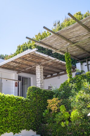 Detalle exterior