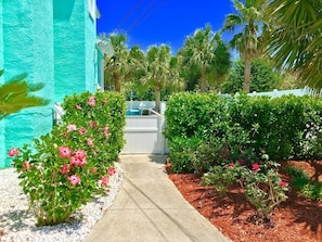 Stroll through the lush garden, surrounded by vibrant foliage and tropical plants.