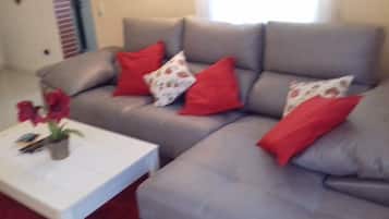 Smart-tv, dvd-afspiller, musikbibliotek