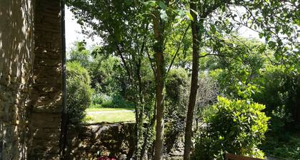 Charm and nature near Cluny