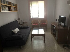 TV, DVD player, books, video library