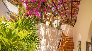 A staircase with a white wall and a wooden railing, surrounded by green plants and pink flowers. - Pedregal Villa w/ Pool, Hot Tub, Walk to Town, Near Swim Beach & Ocean Views (Cabo San Lucas)