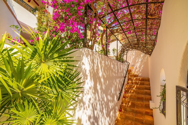 A staircase with a white wall and a wooden railing, surrounded by green plants and pink flowers.