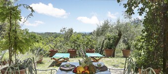 Orpheus House in a splendid estate with a pool on the hills of Lucca