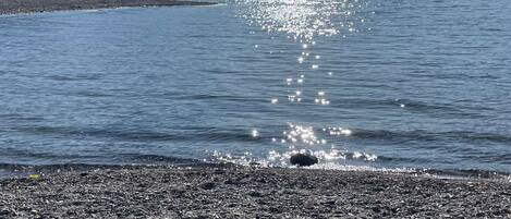 På stranden og solsenger