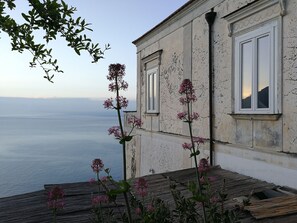 Property grounds - Traditional vaulted house in the green of citrus groves with fantastic sea view. (Comune Amalfi)