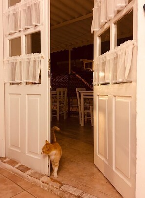 Teras/patio