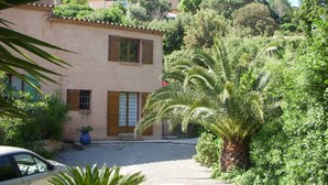 Un edificio de dos plantas con fachada rústica, camino de grava y abundante vegetación, incluyendo una palmera.