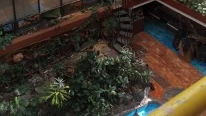 Terassi/patio