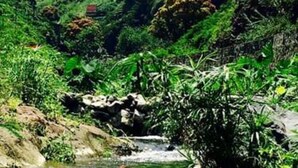 A mountainous landscape with a prominent rock formation and lush greenery. - Casa xoxo - Bedroom 4 (Ribeira grande)
