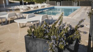 Un espace piscine agrémenté de chaises longues et d’un jardinier où sont plantées des lavandes.