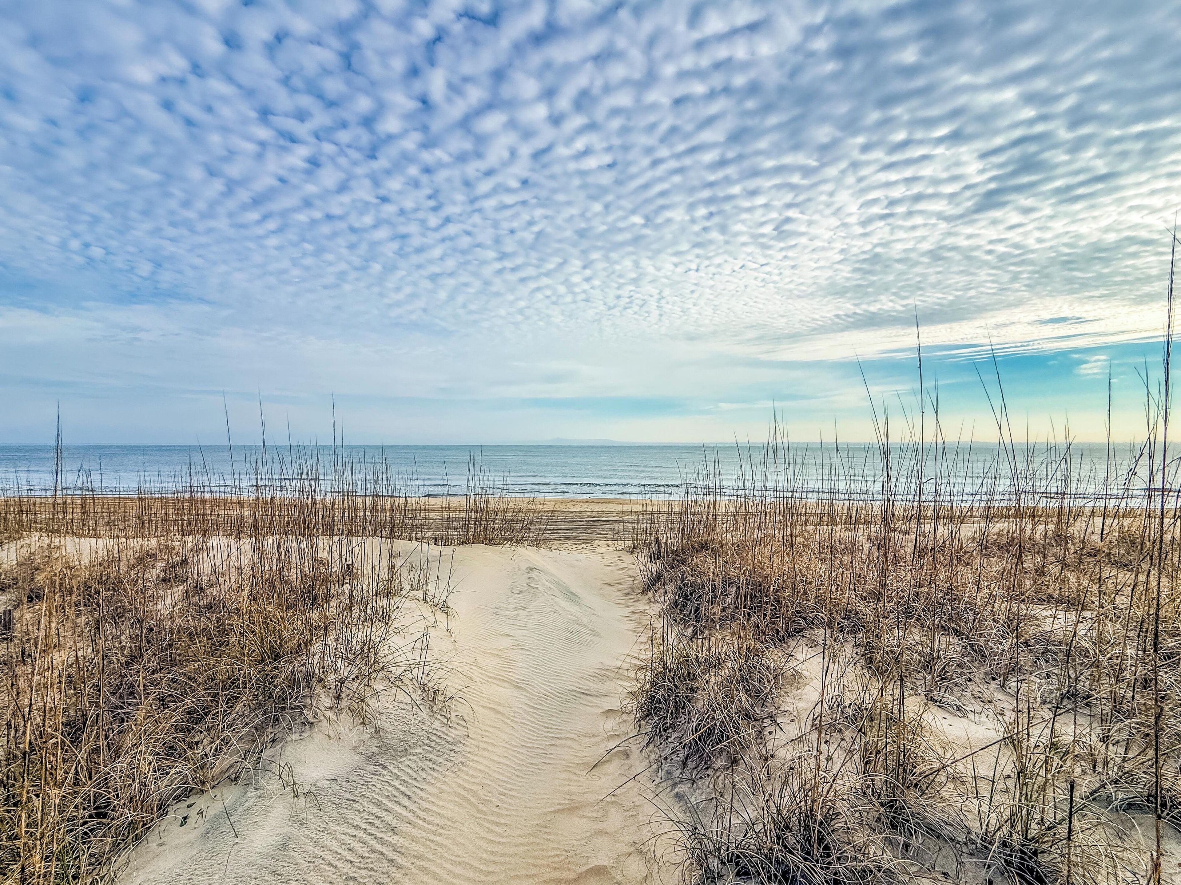 A sandy beach path with sparse vegetation leading to the ocean.