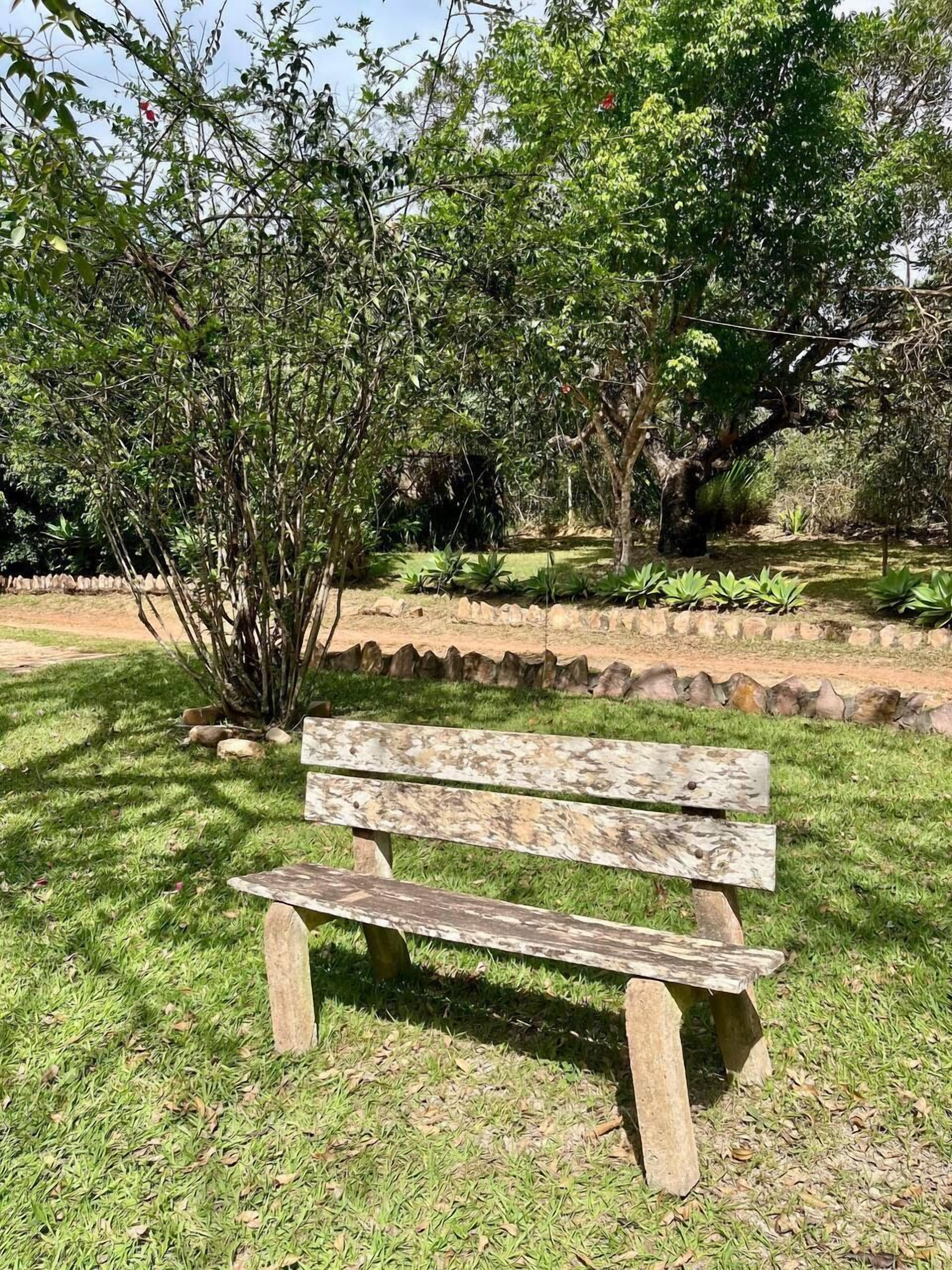 A wooden bench in a park with grass and trees.