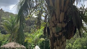 室外泳池