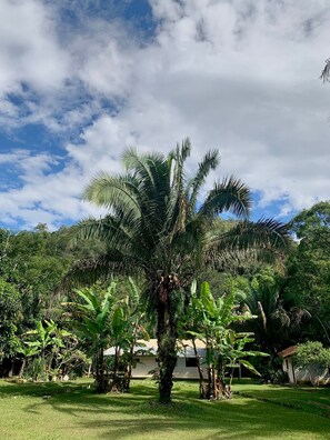 Garden - Pousada Chapada dos Veadeiros (Alto Paraíso de Goiás)