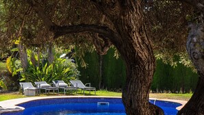 Ein Swimmingpool mit Liegestühlen und einem Baum im Vordergrund.