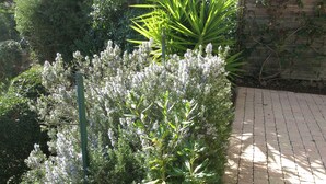 A paved garden pathway surrounded by various plants and a wooden fence. - Splendid sea view for this Var house 350m from the sea in a private domain. (Saint-Raphaël)