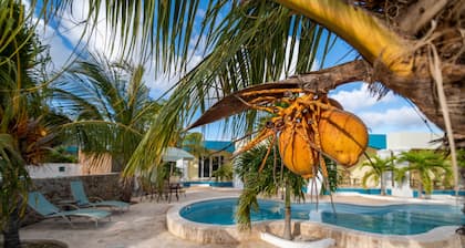 Aqua Viva Suites - Hotelzimmer - Genießen Sie einen angenehmen Aufenthalt zu einem guten Preis-Leistungs-Verhältnis in Bonaire
