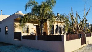 Une maison moderne avec une façade de couleur beige, une clôture en bois et un palmier dans le jardin.