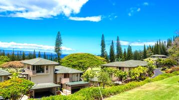 A residential area with houses having sloped roofs, surrounded by lush greenery and trees.