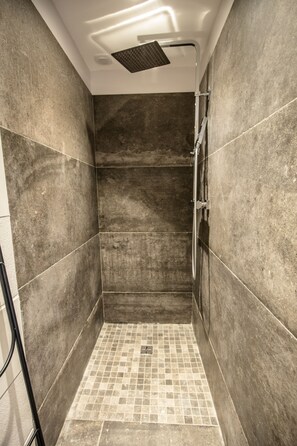 Shower, hair dryer, towels, toilet paper