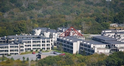 Pinnacle Inn Resort - Indoor Pool & Hot Tubs "Money Saver" Beech Mountain, NC
