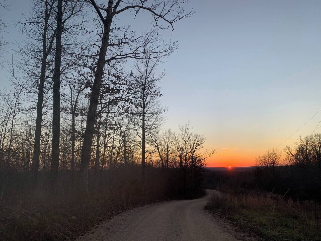 A rural road with trees on either side and a sunset in the distance.